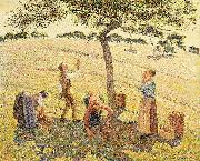 Camille Pissarro Apfelernte in Eragny oil on canvas